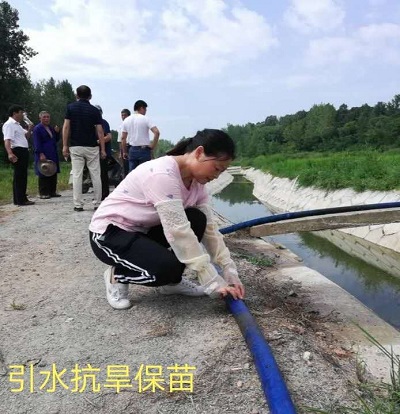 妇联2.jpg
