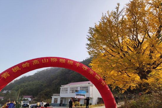 采摘节_副本1.jpg