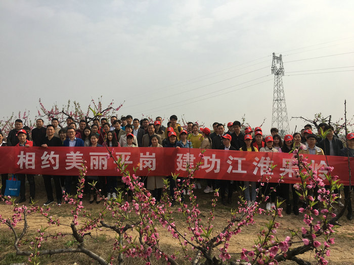 微信图片_20190330155454_副本.jpg